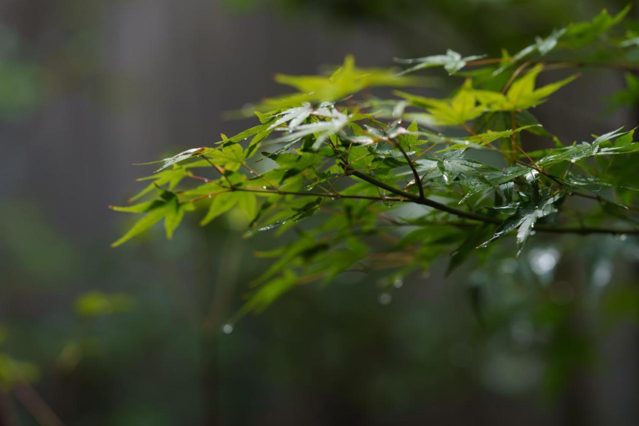 滔々 御崎 町家の宿 Toutou Onzaki Machiya No Yado Kurasiki Kültér fotó
